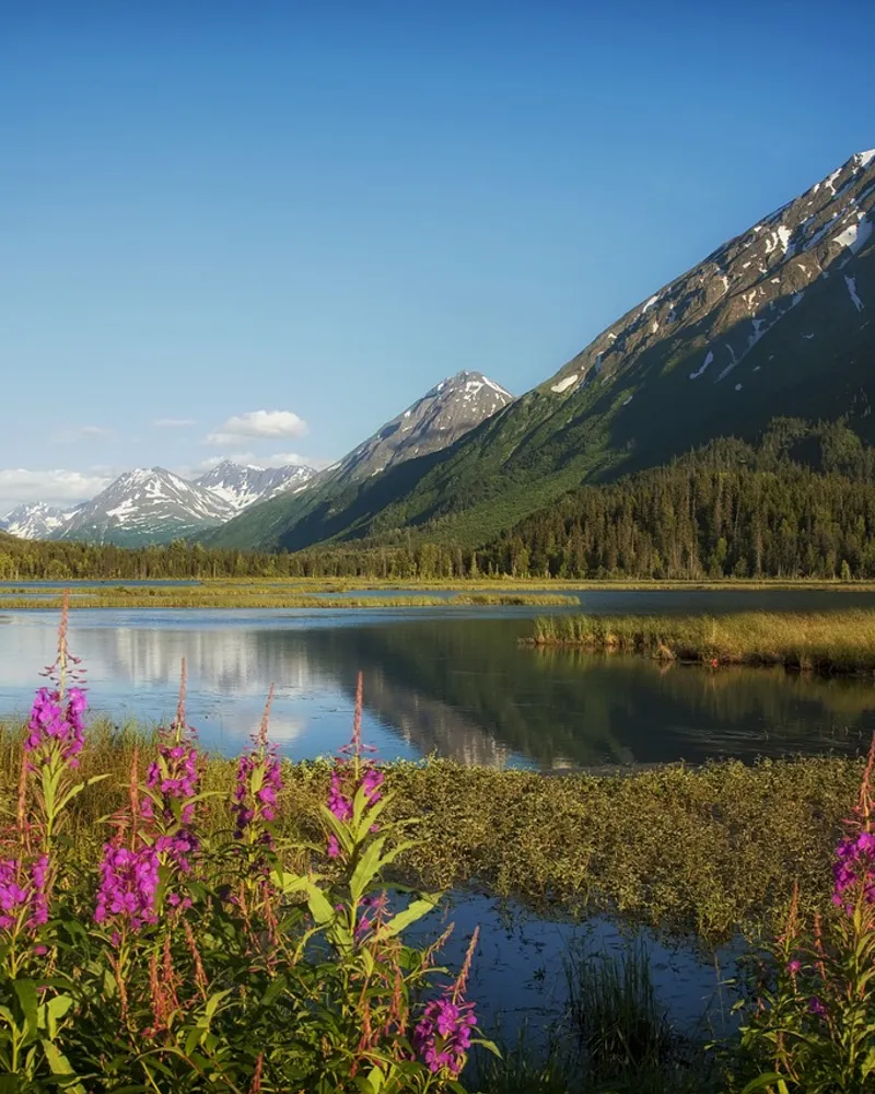 Hiking and camping in summer Alaska