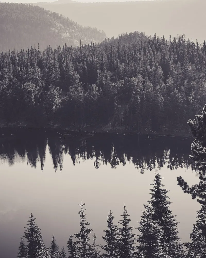 Rocky Mountain: History & Culture
