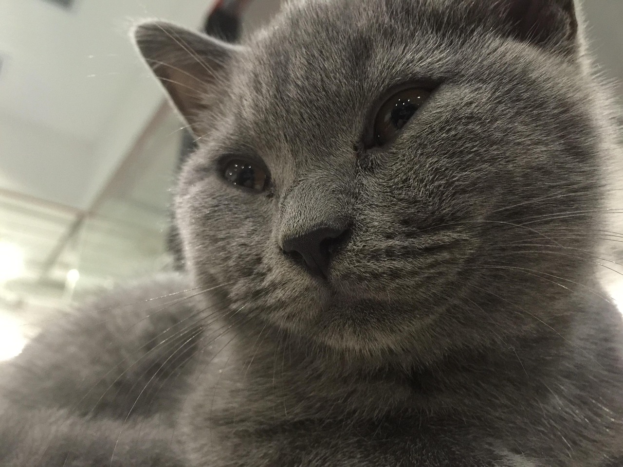 découvrez l'univers fascinant de mimi, une exploration de la créativité et de l'authenticité à travers des histoires inspirantes et des personnages attachants. plongez dans un monde où l'imagination prend vie et où chaque instant compte.