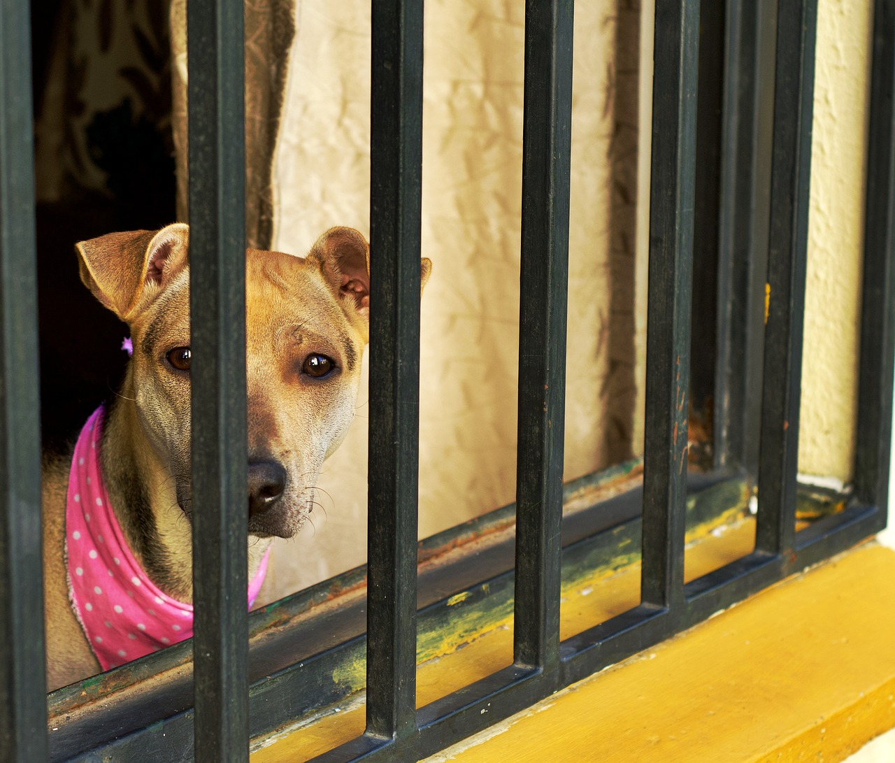 découvrez l'univers fascinant des créoles : culture, langue, gastronomie et l'histoire riche qui unit les peuples des îles. plongez dans la diversité et la beauté des traditions créoles.