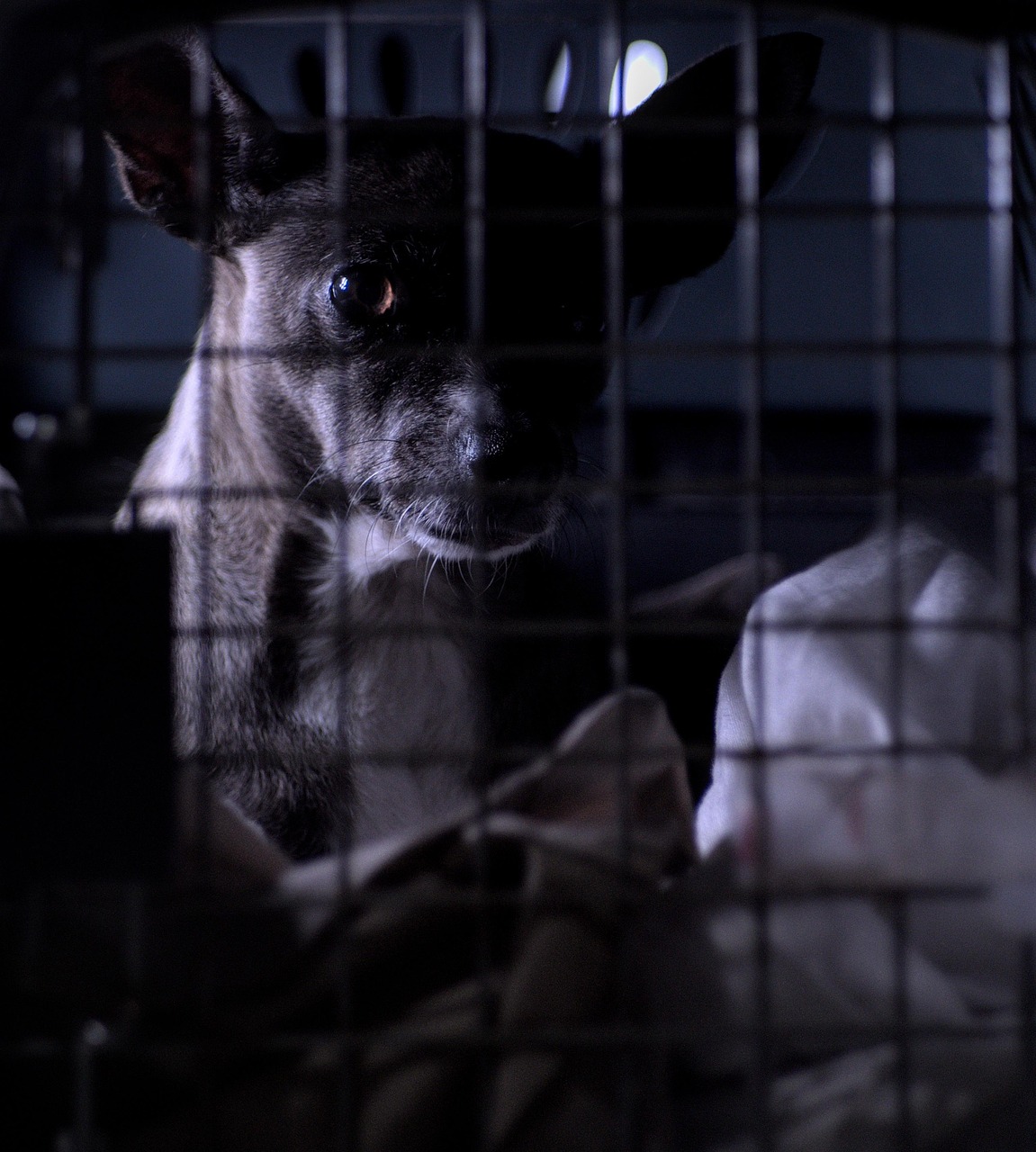 découvrez une exploration poignante de la tragédie à travers des récits émouvants et des réflexions profondes sur la douleur, la perte et la résilience humaine. plongez dans des histoires qui touchent l'âme et qui invitent à la réflexion sur les épreuves de la vie.