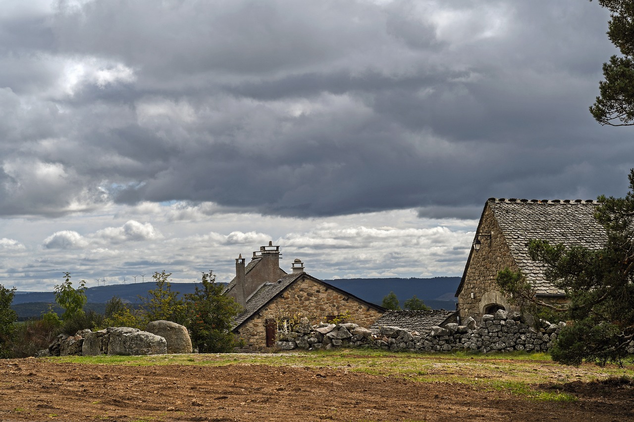 découvrez st. françois, une destination enchanteresse alliant beauté naturelle et culture vibrante. explorez des plages de sable blanc, dégustez des spécialités locales et vivez des moments inoubliables dans ce cadre idyllique.