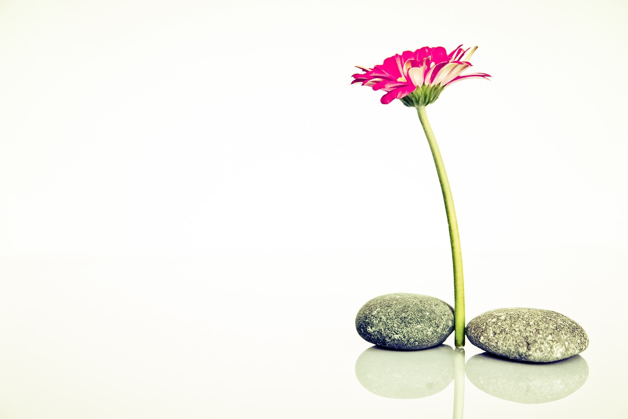 découvrez des sources d'inspiration variées pour stimuler votre créativité et dynamiser vos projets, qu'ils soient artistiques, professionnels ou personnels.