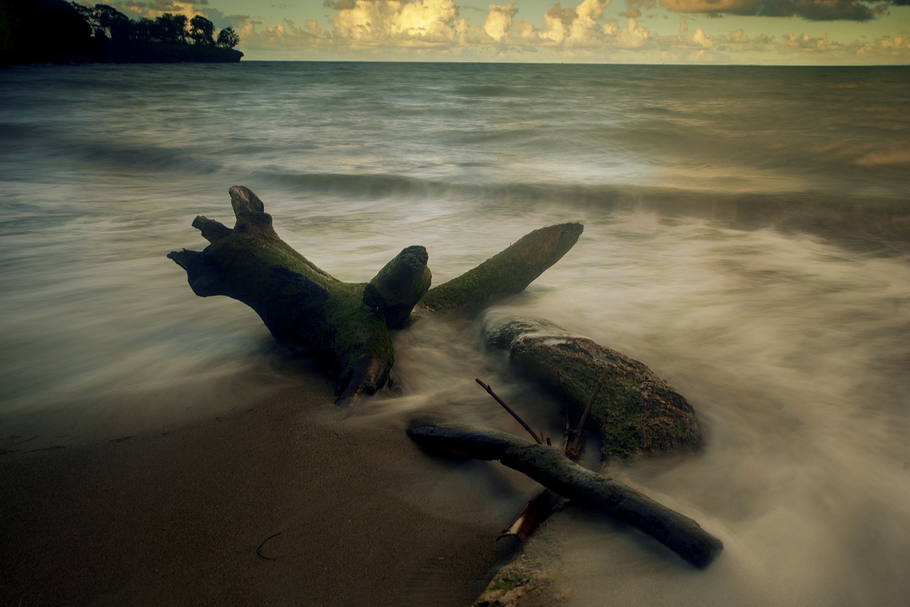 découvrez la guadeloupe, une île paradisiaque des caraïbes, réputée pour ses plages de sable blanc, sa culture vibrante et sa biodiversité exceptionnelle. plongez dans l'univers tropical de la guadeloupe et explorez ses paysages enchanteurs, des forêts luxuriantes aux chutes d'eau majestueuses. idéale pour les amateurs de détente, d'aventure et de gastronomie créole.