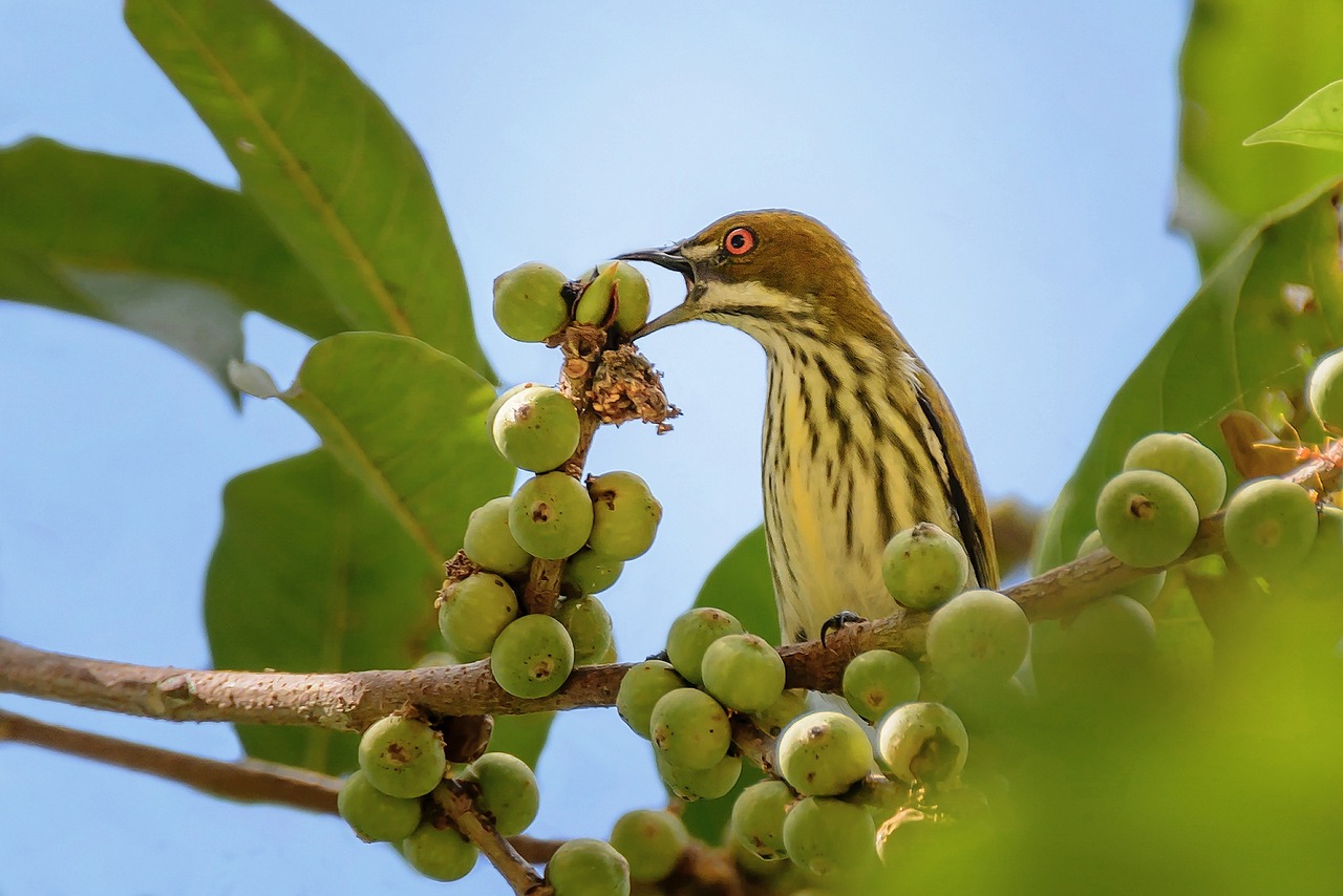 découvrez les dernières résultats d'analyse et de performance dans notre section dédiée. accédez à des informations précieuses et des statistiques détaillées pour rester informé et optimiser vos choix.