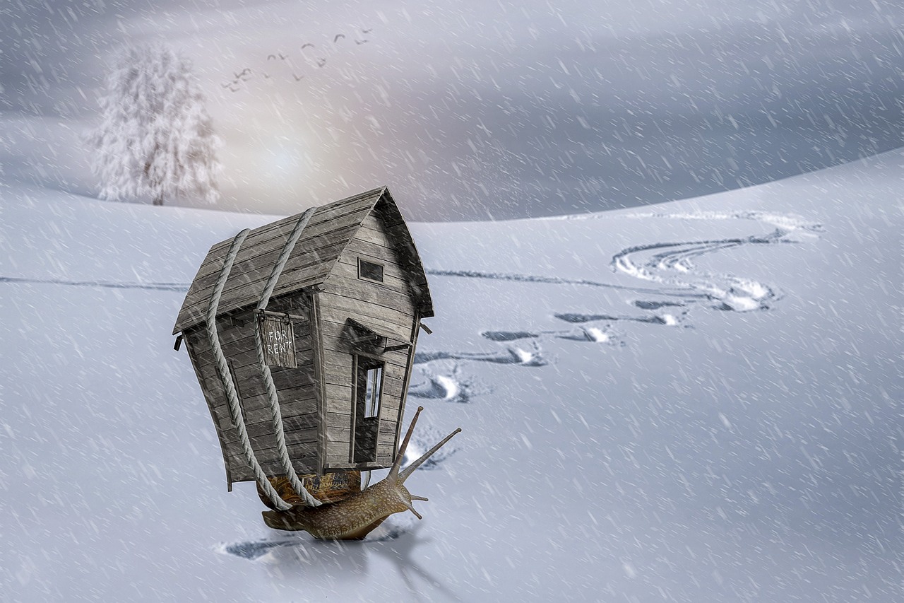 découvrez notre service de location, avec des options variées pour répondre à tous vos besoins. que ce soit pour un appartement, une voiture ou un équipement, nous avons la solution idéale pour vous. profitez de prix compétitifs et d'un service client exceptionnel.