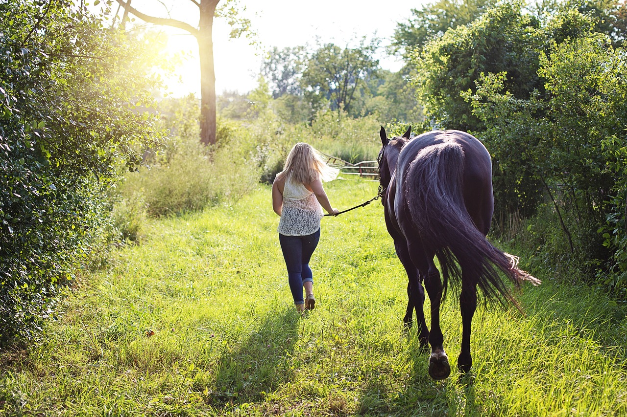 découvrez l'équitation, un art qui mêle passion, élégance et excellence. que vous soyez cavalier débutant ou expert, plongez dans l'univers fascinant du monde équestre, des disciplines variées aux soins des chevaux.