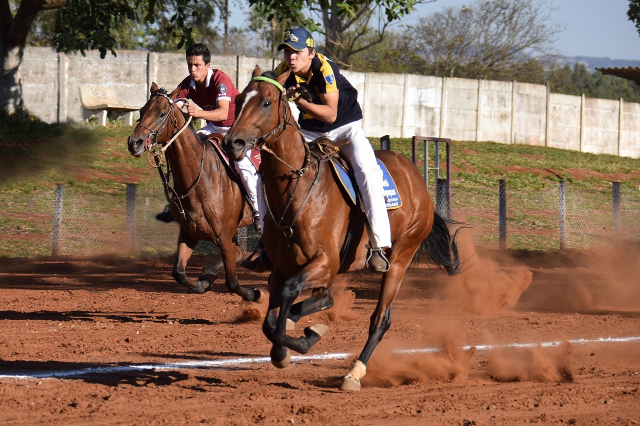 découvrez l'art équestre à travers notre exploration de l'équitation, des techniques de monte, du dressage et de la relation unique entre l'homme et le cheval. plongez dans l'univers fascinant de l'équitation et améliorez vos compétences, que vous soyez débutant ou cavalier expérimenté.