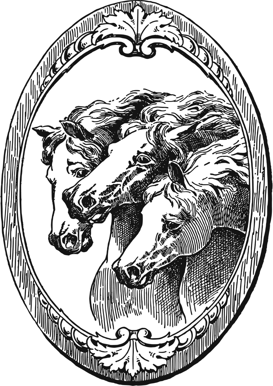 découvrez l'univers fascinant de l'équitation avec notre guide complet sur l'équitation. apprenez les techniques, les disciplines, les soins des chevaux et l'histoire de ce sport noble. que vous soyez débutant ou cavalier expérimenté, plongez dans la passion de l'equestrianisme.