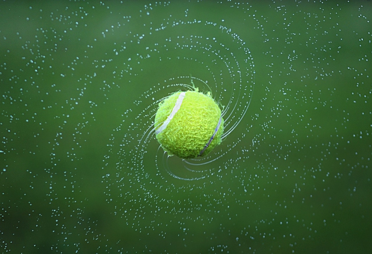 découvrez l'univers passionnant du tennis : toutes les actualités, les conseils pour améliorer votre technique, et les informations sur les plus grands tournois. que vous soyez débutant ou joueur confirmé, plongez dans le monde du tennis et atteignez vos objectifs sportifs !