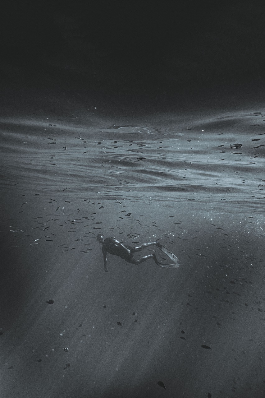 découvrez les merveilles sous-marines du snorkeling ! plongez dans des eaux cristallines et explorez des récifs coralliens colorés, une faune marine fascinante et profitez d'une expérience inoubliable en toute simplicité.