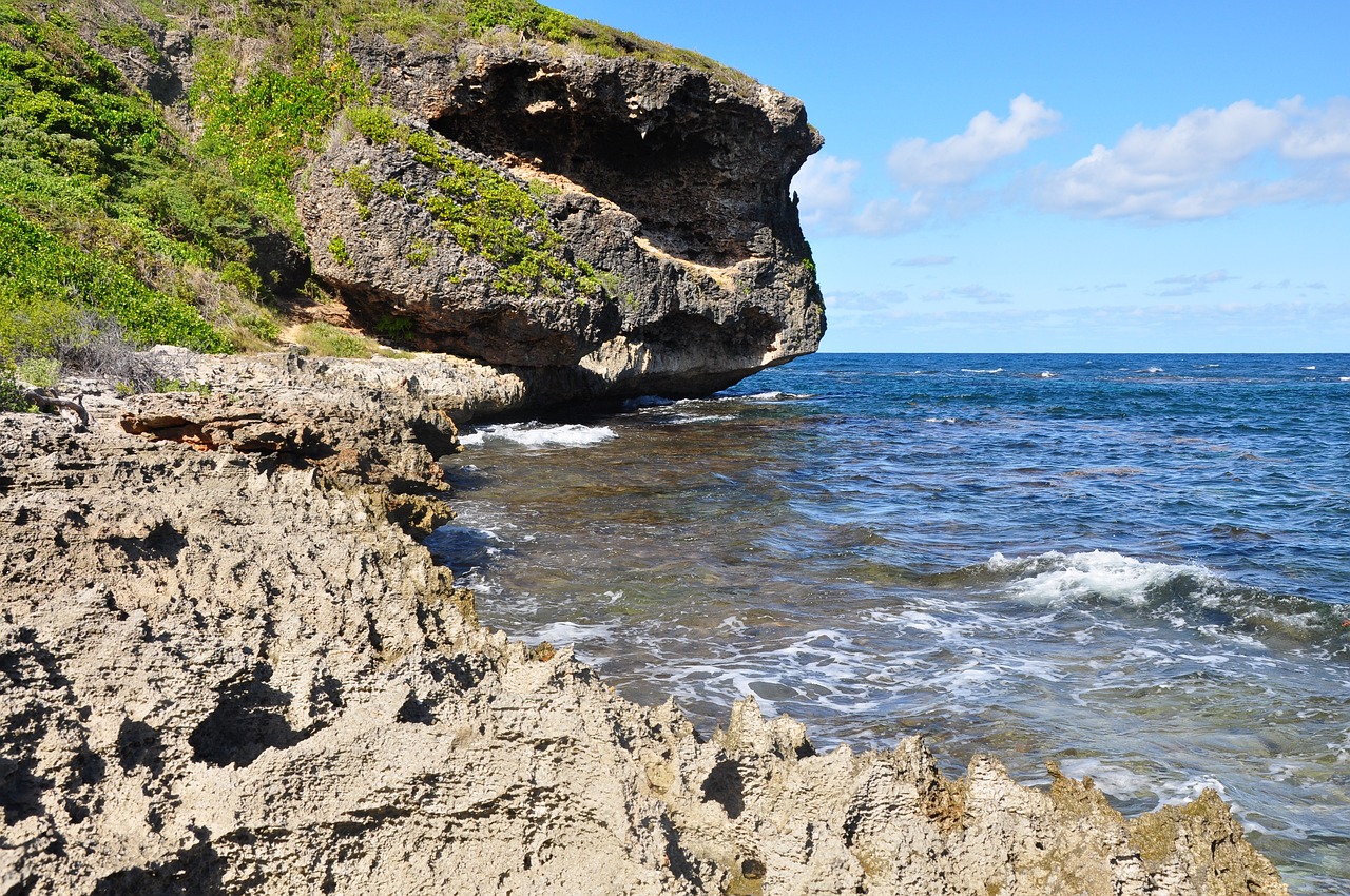 découvrez la beauté enchanteresse de la guadeloupe, une destination paradisiaque aux plages de sable blanc, à la culture vibrante et à la nature luxuriante. plongez dans un univers coloré entre mer turquoise et montagnes luxuriantes, idéal pour des vacances inoubliables.