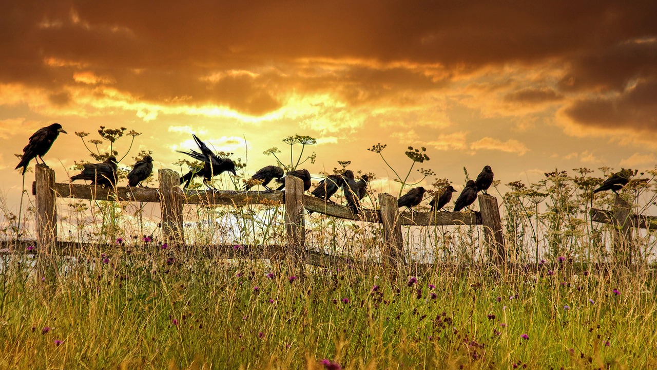 plongez dans l'univers mystérieux des meurtres à travers des récits captivants, des enquêtes intrigantes et des analyses des motivations derrière les crimes les plus sombres. découvrez comment la psychologie criminelle et les techniques d'investigation révèlent la vérité cachée derrière chaque affaire.