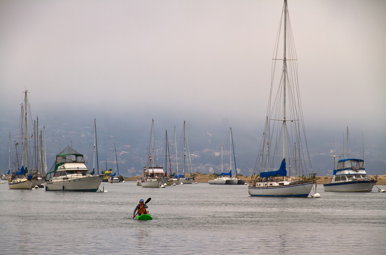 découvrez le sport de la pêche sportive, alliant aventure et passion. apprenez les techniques pour attraper les plus gros poissons tout en profitant de la nature. rejoignez une communauté de passionnés et partagez vos histoires de pêche.