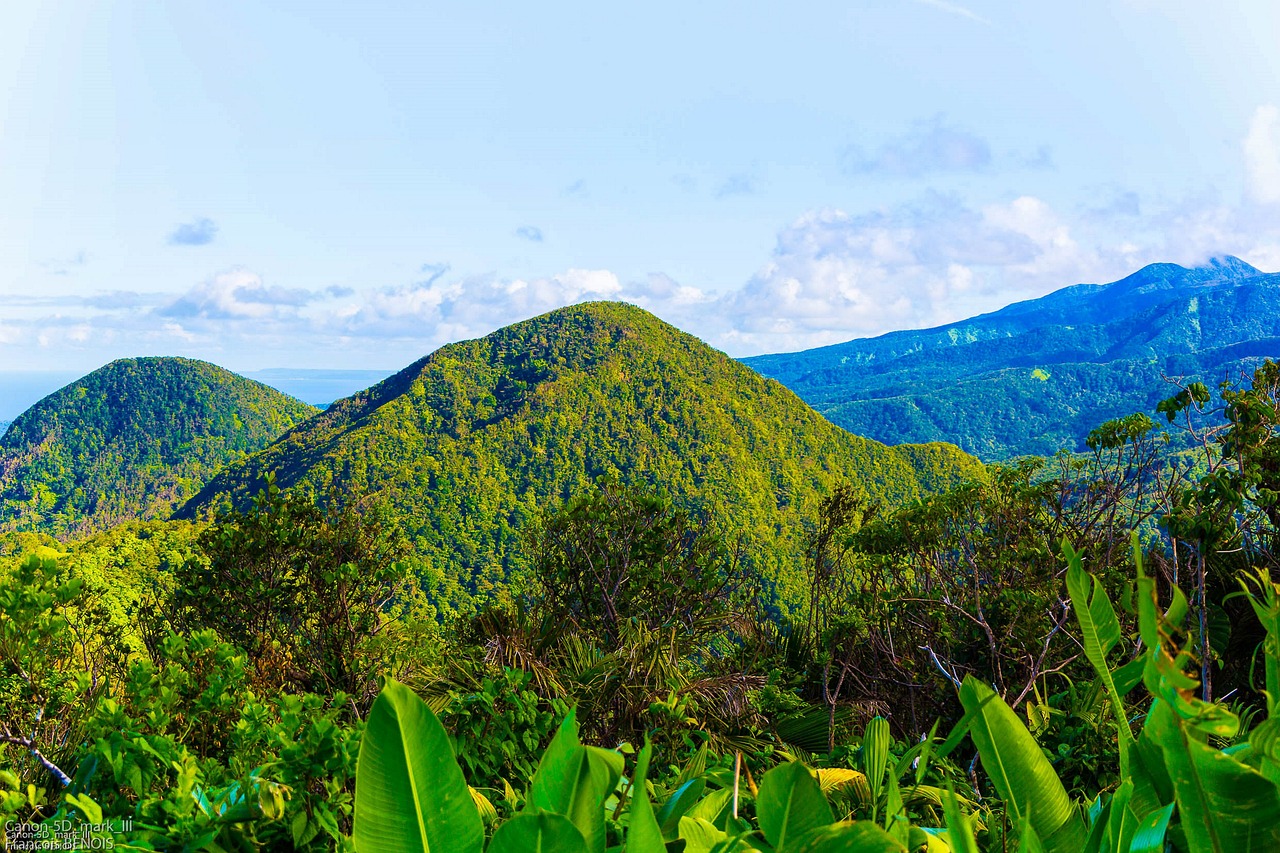 découvrez la beauté envoûtante de la guadeloupe, une destination tropicale offrant plages de sable fin, paysages luxuriants et une riche culture créole. explorez ses îles paradisiaques, goûtez à une cuisine savoureuse et vivez des expériences inoubliables au cœur des caraïbes.